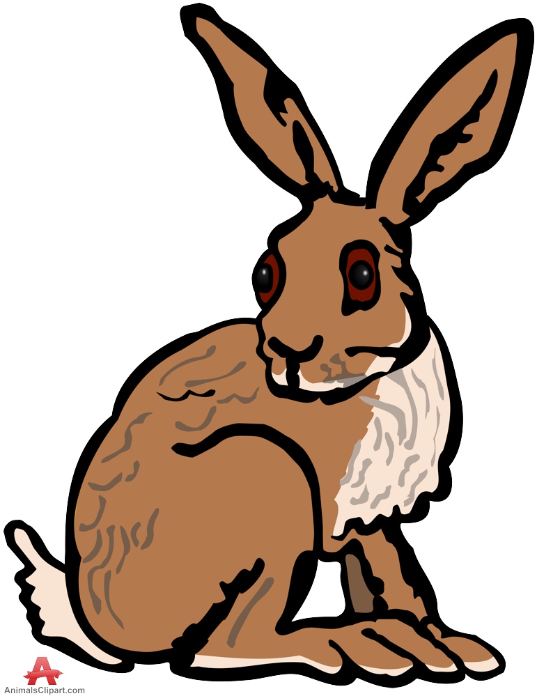 Rabbit clip art images free clipart images 3 - Cliparting.com