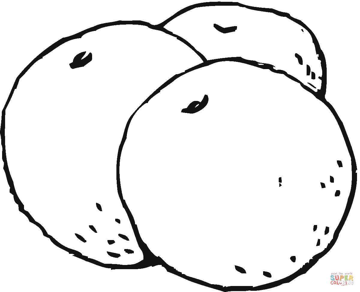 Orange Blossom coloring page | Free Printable Coloring Pages