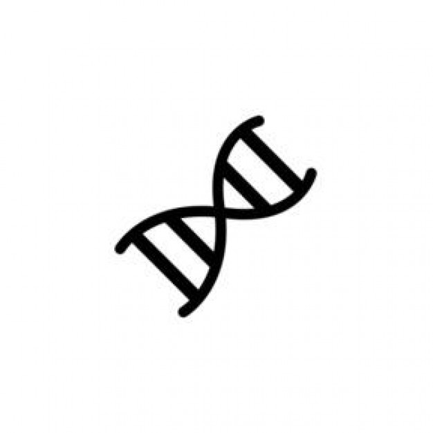 Double Helix Vector | Free Download Clip Art | Free Clip Art | on ...