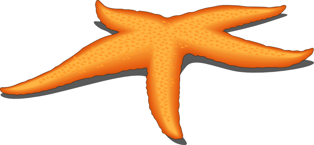 Starfish Clip Art Free - Free Clipart Images