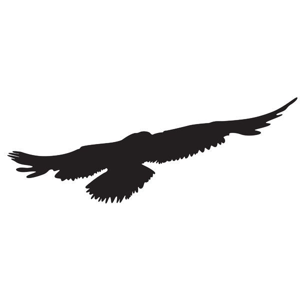 Bird tattoos, Bird silhouette tattoos and Flying bird tattoos on ...