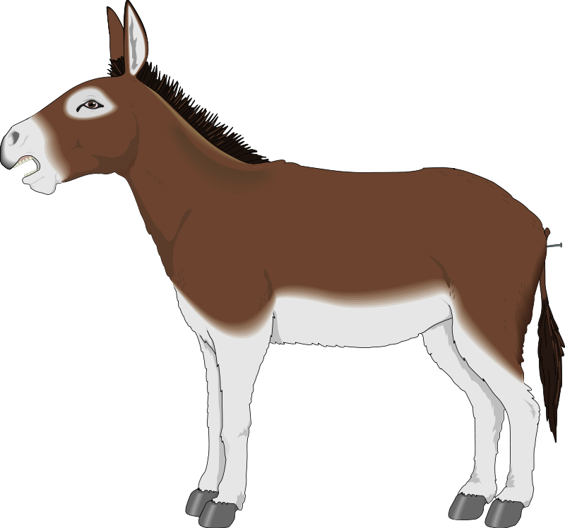 Donkey clipart images