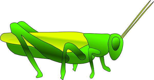Cricket Insect Clipart