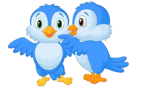 Cute Bird's - Bird Images