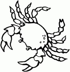 Sea shells, Sand dollar art and Coloring pages