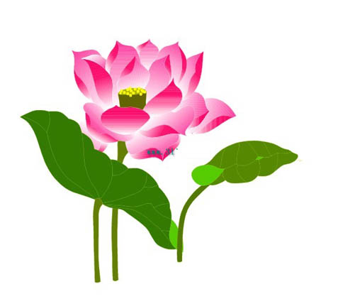 Lotus Flower Clip Art