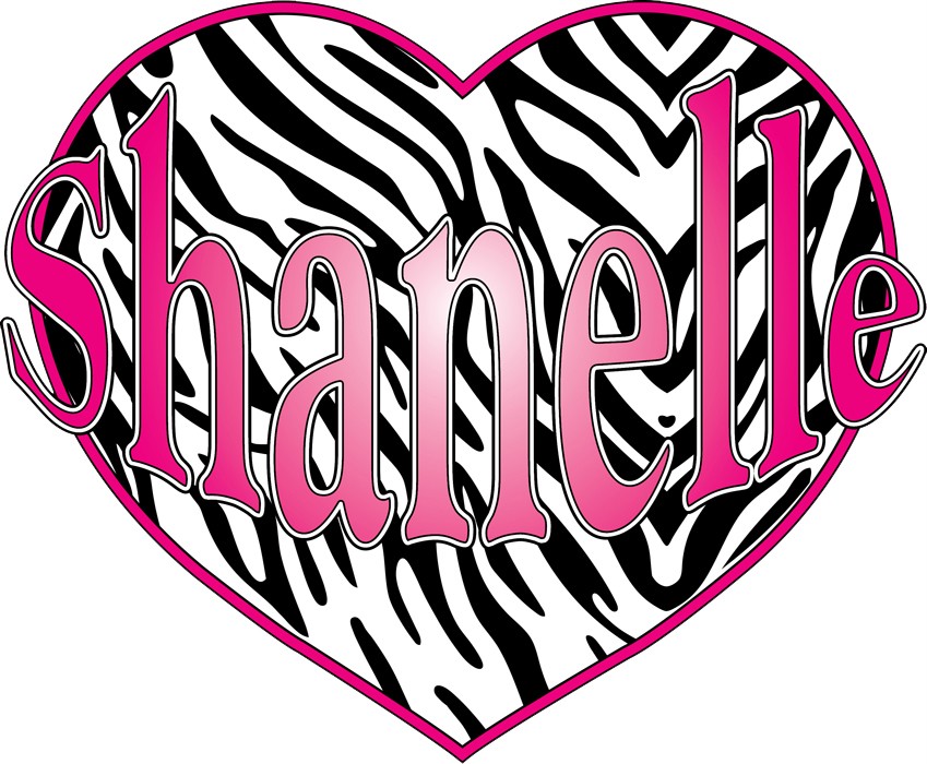 Zebra Pink Room Decor