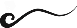 wave-line-black-md.png