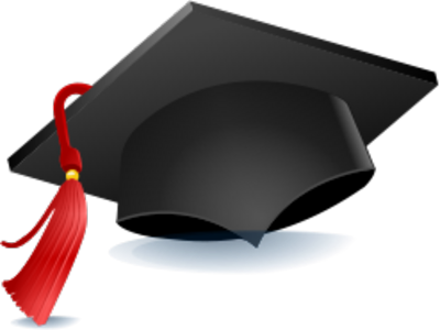 Web Icons For Pass Driving School | rose