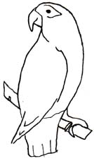 Parrot Clip Art