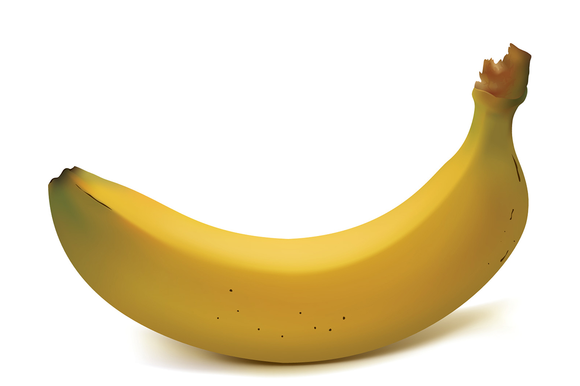 vector banana