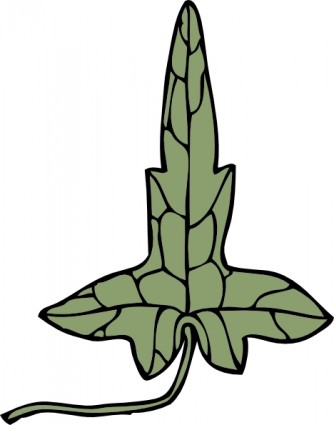 Ivy Leaf clip art Vector clip art - Free vector for free download