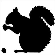 Products and Squirrel