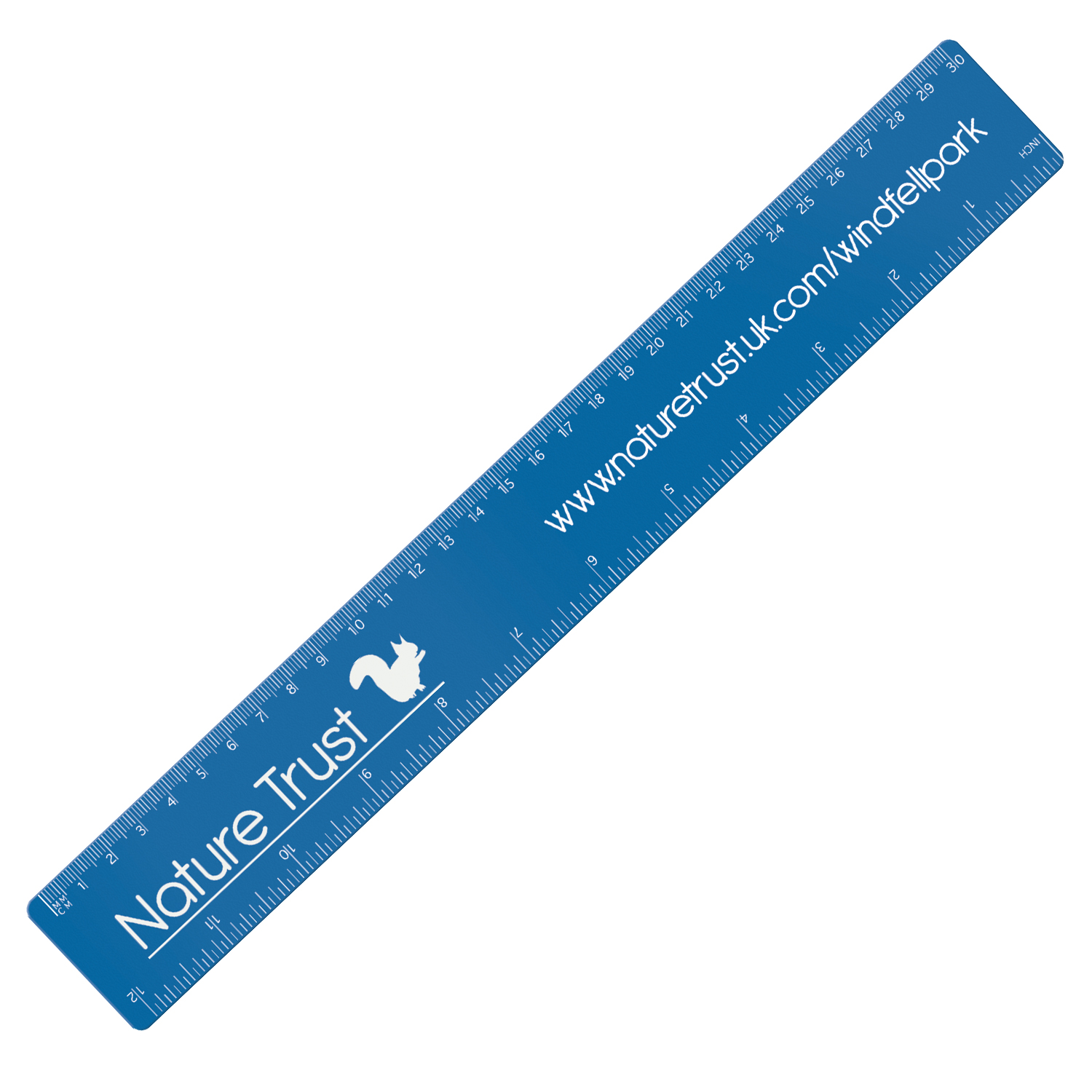 30cm/12" PP Plastic