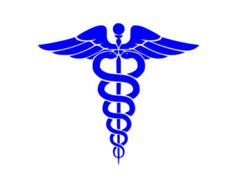 caduceus snake – Etsy