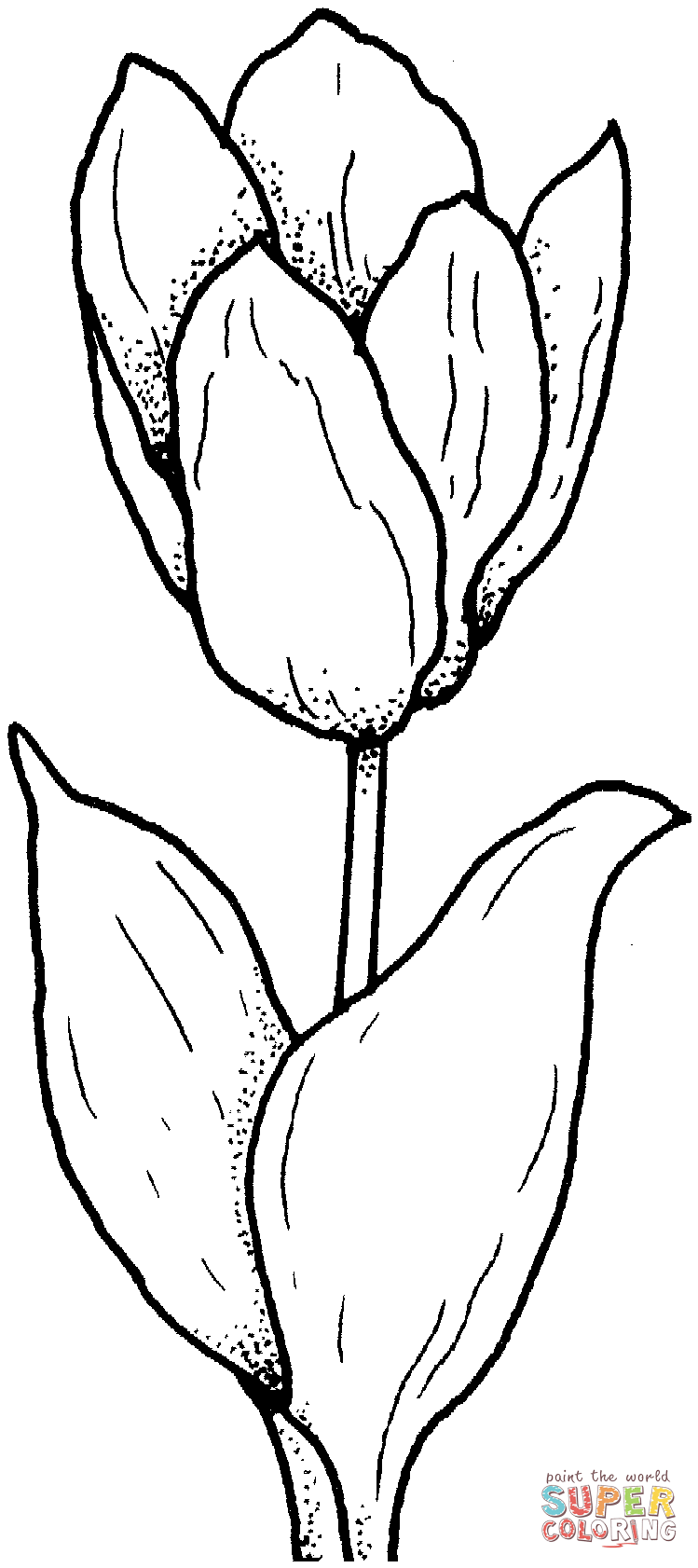 Tulip coloring page | Free Printable Coloring Pages