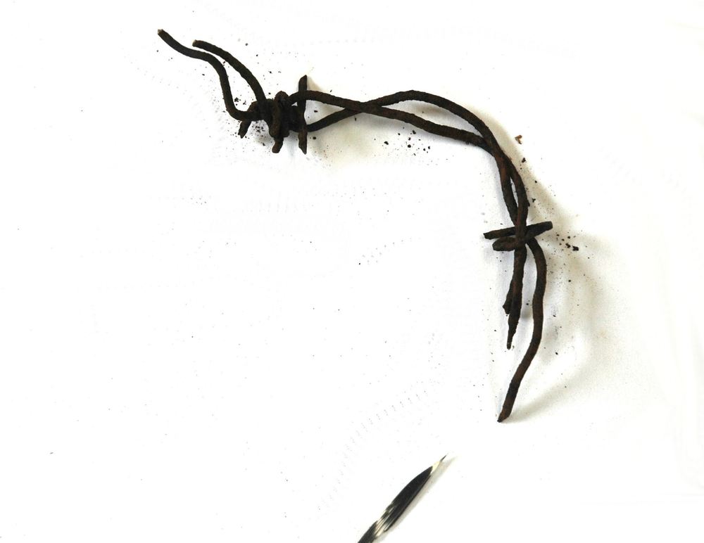 Intuitive art — James Maberly Sculpture and Drawing