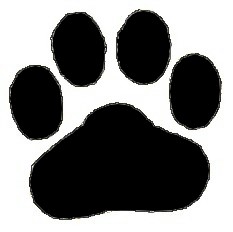 Pet Boutique
