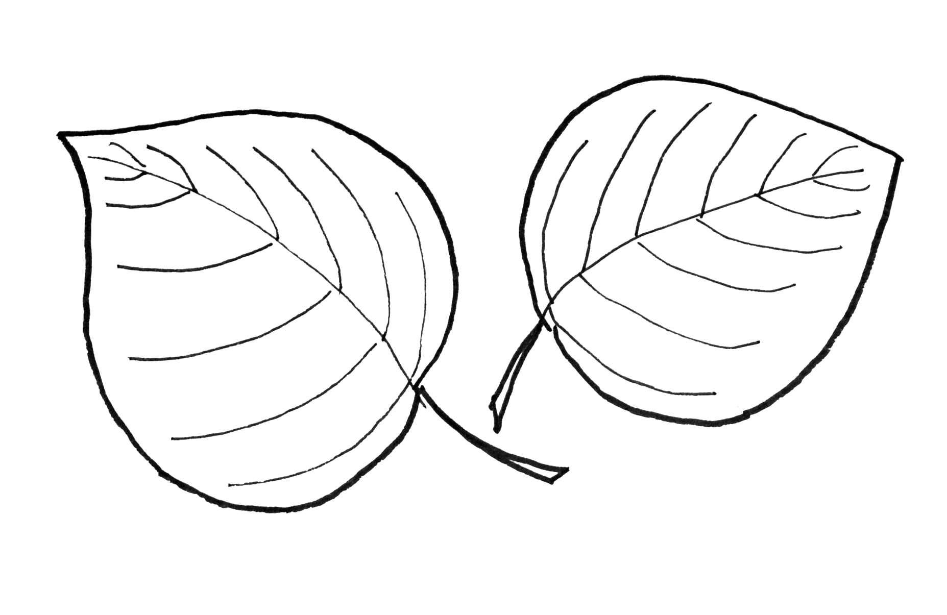 Leaf Template | Free Download Clip Art | Free Clip Art | on ...