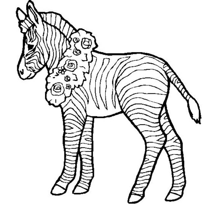 40+ Zebra Templates - Free PSD, Vector EPS, PNG Format Download ...