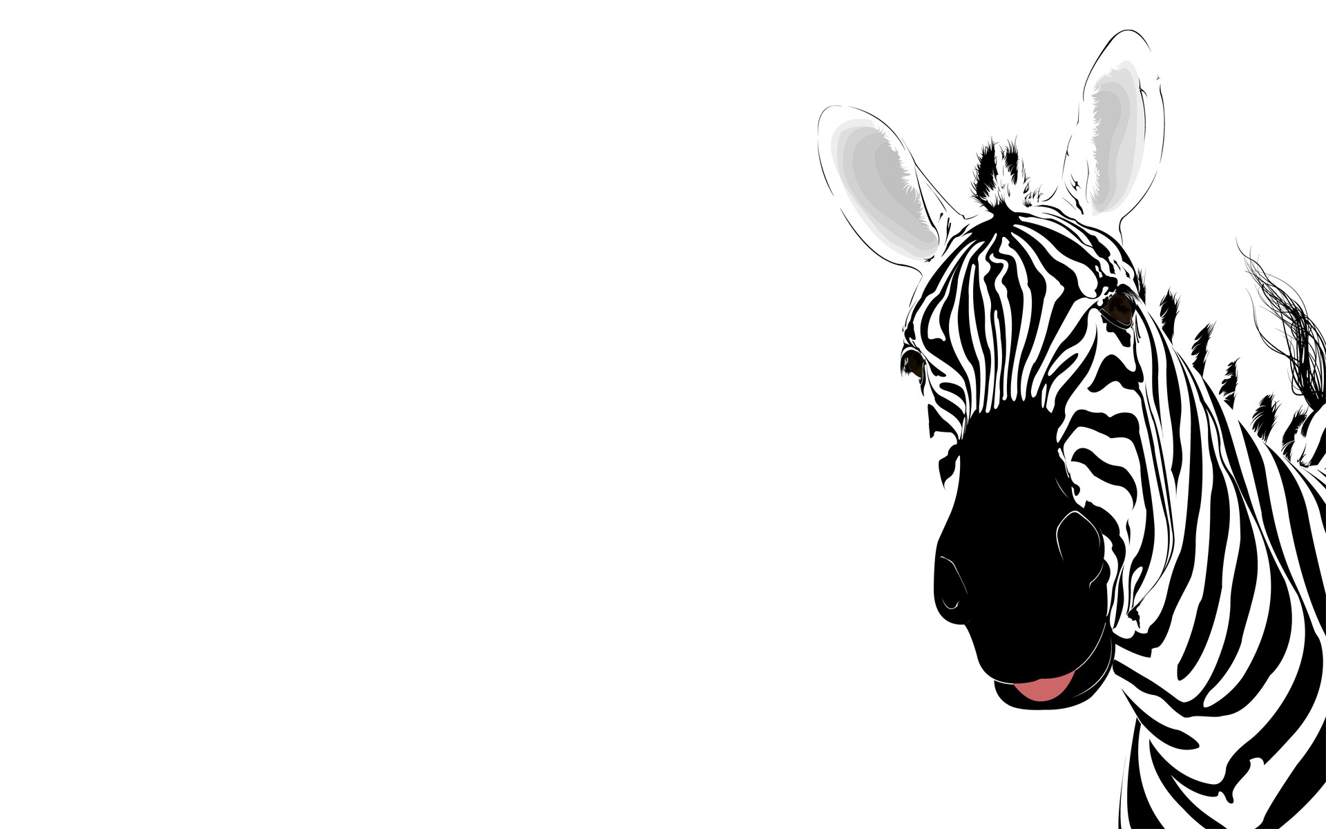 Zebra Border Template