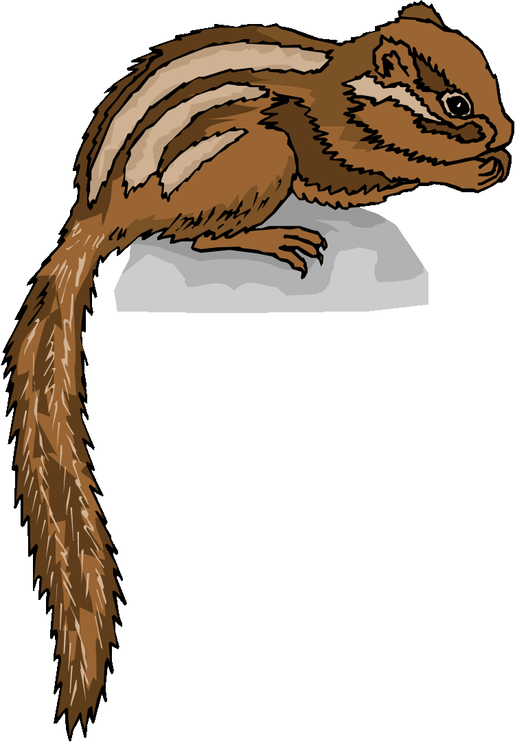 Free Chipmunk Clipart