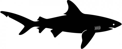 Shark silhouette clip art