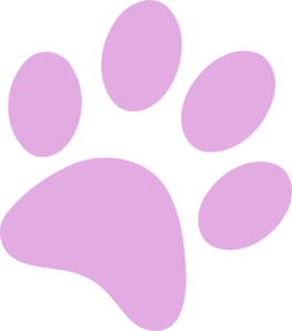 Paw clipart no background