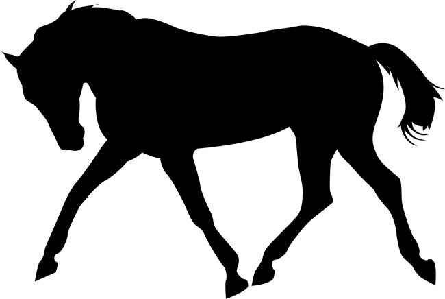 Bucking Horse Stencils- stencilease.