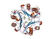 Macrophage migration inhibitory factor