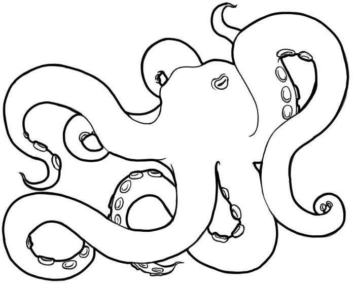 deviantART: More Like Free Scenedog Lines by