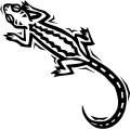 Iguana | Custom T-Shirts, Custom Hoodies, T Shirt Printing, Design ...
