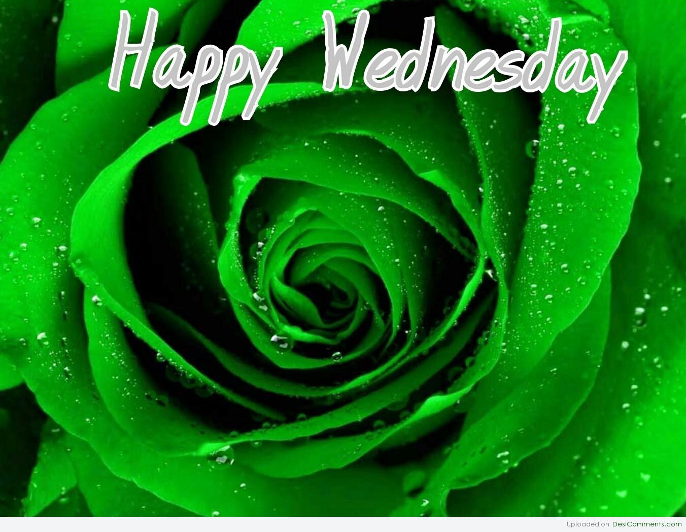 Wednesday