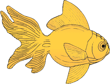 fish clipart