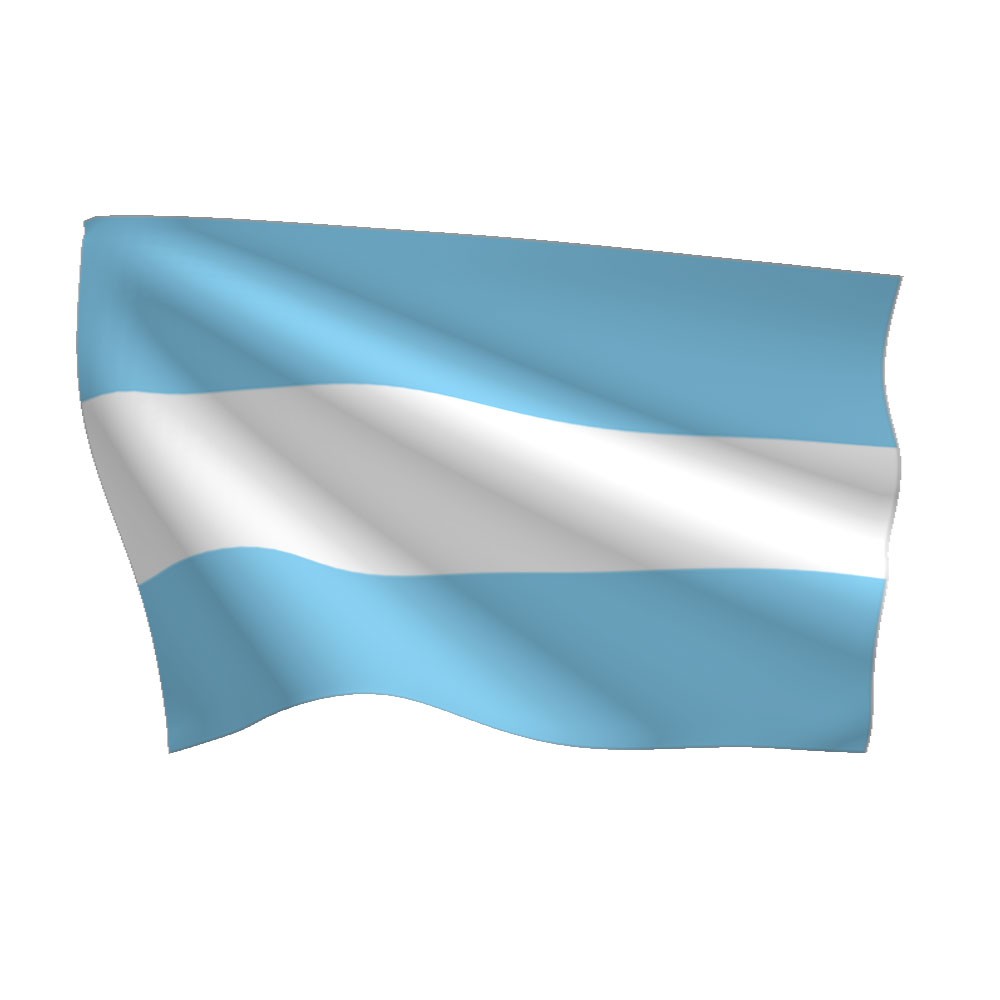 Flags International | Argentina Flag