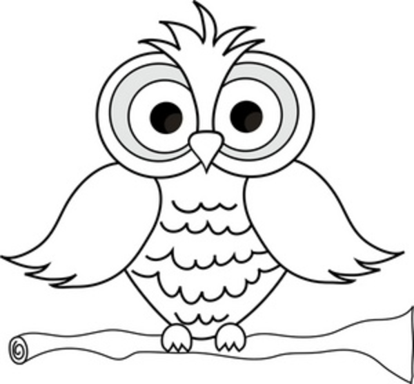 Wise Owl With Big Eyes On A Tree Limb In Black And White Smu ...