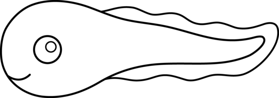 Tadpole Clip Art