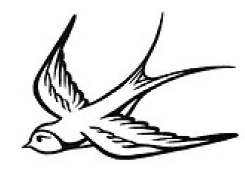 birds-raven-dove-swallow-eagle-pheseant-falcon-owl-budgie-flash ...