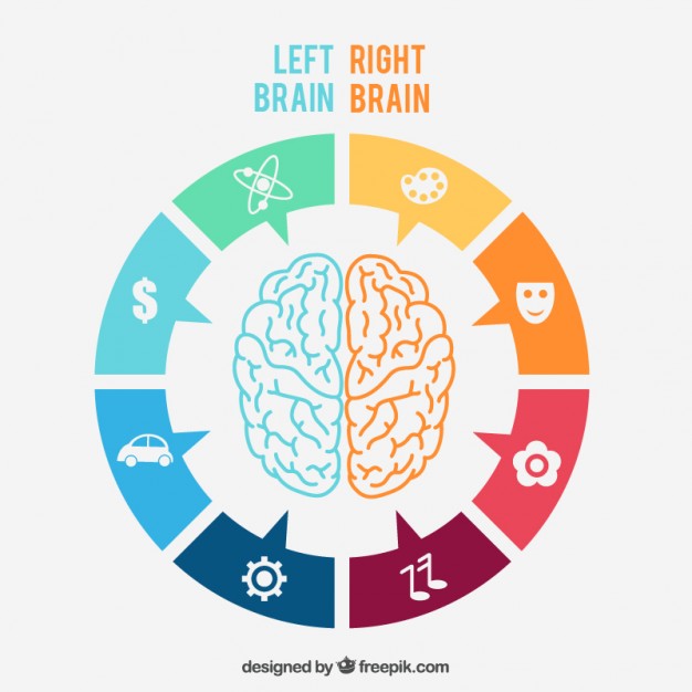 Brain Vectors, Photos and PSD files | Free Download