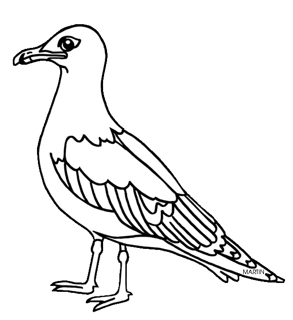 Seagull graphics vector seagull page 1 psd clip art image #29985