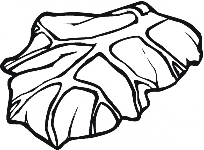 Lettuce 5 coloring page | Super Coloring