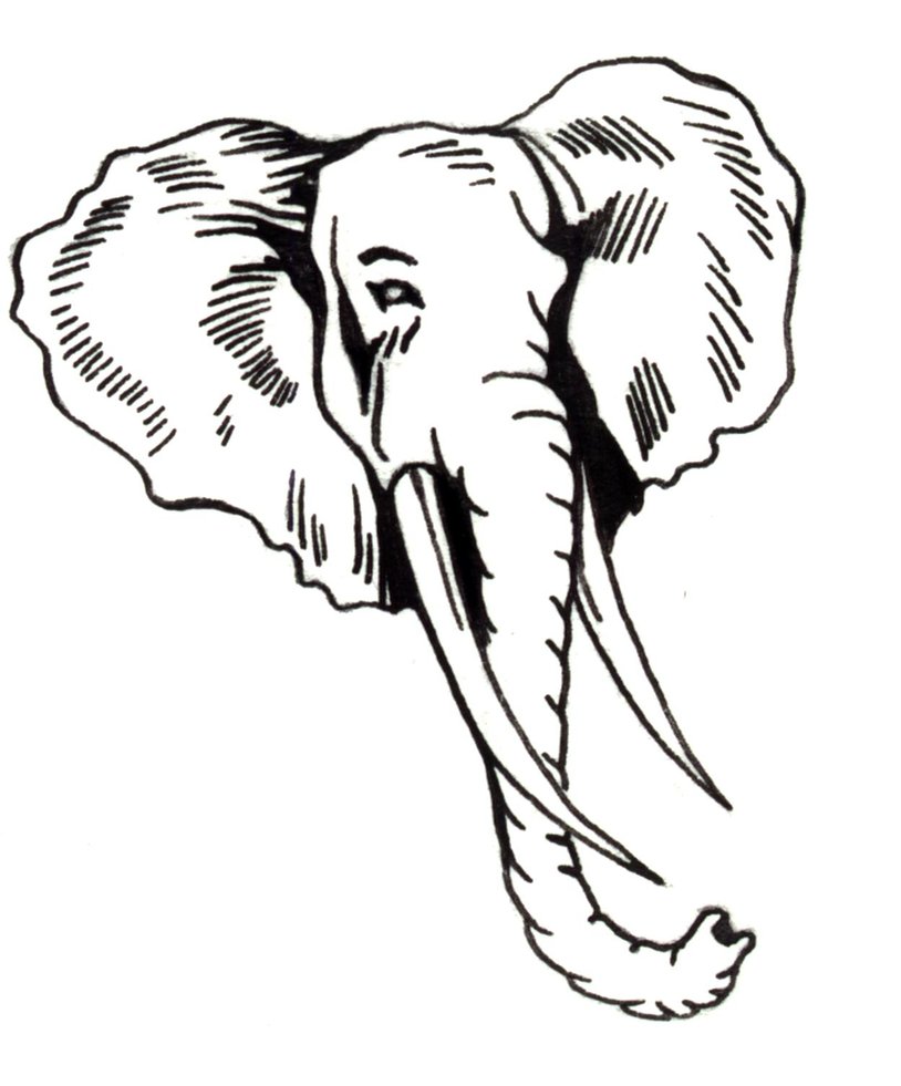 Elephant Head