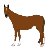 Quarter Horse Vector - Download 465 Vectors (Page 7)