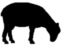 Sheep : Metal Wall Art | Old West Metal Silhouette Art | Metal ...