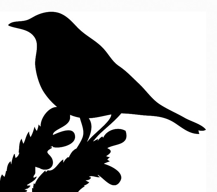 Bird head outline clipart