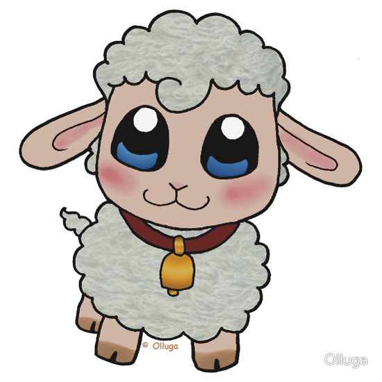 Sheep, People and Cute sheep