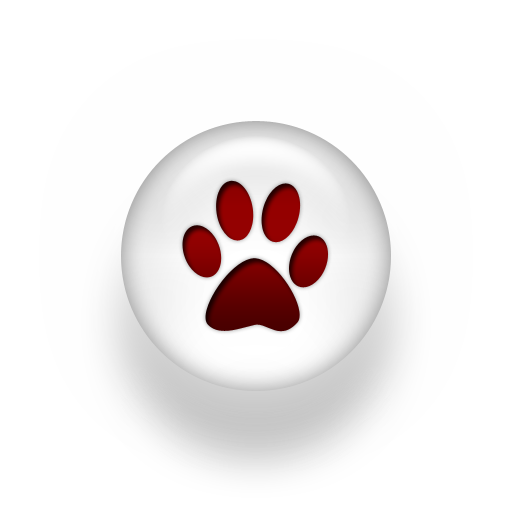 Action Paws