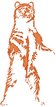 Grizzly bear standing clipart