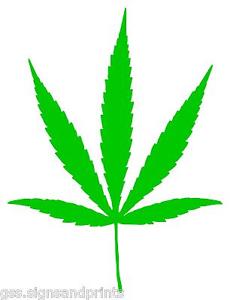 GREEN WEED PLANT LOGO - DECAL CUT STICKER (CHOICE OF SIZES)
