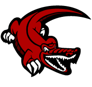 Football Helmet Decals - Custom Football Helmet Stickers